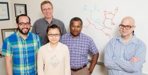 University of Illinois graduate research assistant Manuel A. Ortega, chemistry professor Wilfred van der Donk, graduate student Yue Hao, biochemistry professor Satish Nair and postdoctoral researcher Mark Walker resolved a decades-old mystery into how a broad class of natural antibiotics are made: Image Credit--L. Brian Stauffer