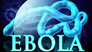 A recent report shows how a physician who developed Ebola in Sierra Leone was successfully handled with a drug known as FX06, which has been proven to decrease vascular leakage in animal studies