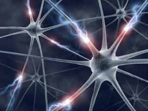 Investigators identified that mutated tau affects the associations among neurons by decreasing the dimension of anchoring sites for NMDA receptors essential for brain signaling.
